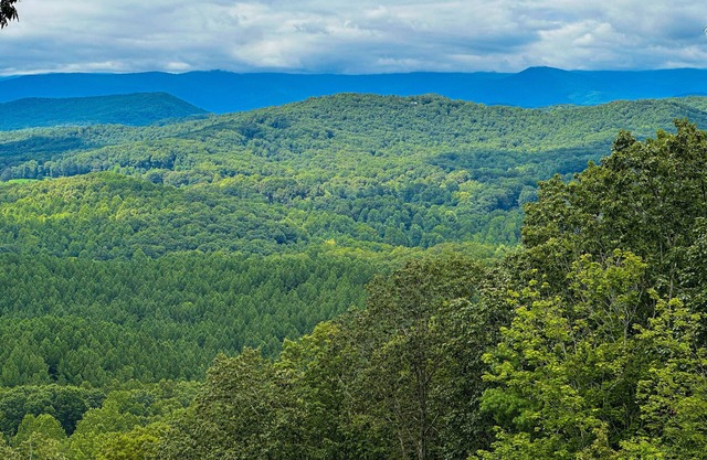 Your Helen Escape with Breathtaking Mountain Views - wifi, firepit