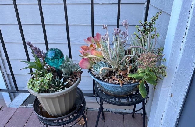 Your Luxurious Retreat in Rancho Cordova Apt Cn