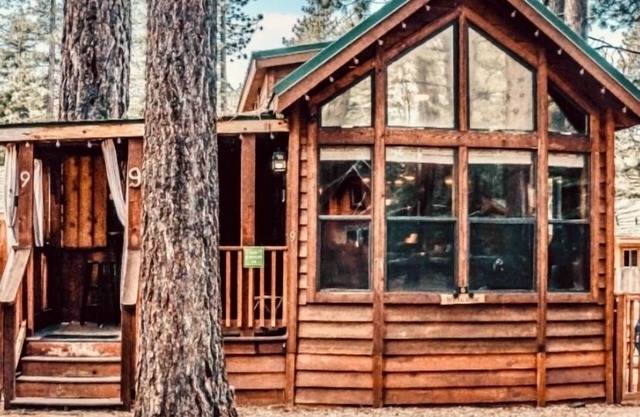 Your Tahoe Tiny House Escape PETS WELCOME!