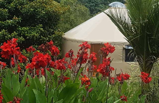 Yurt in Thames