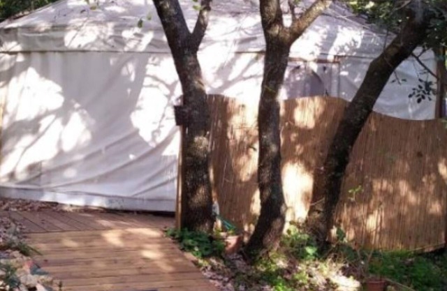 Yurt Located in a Little oak Grove