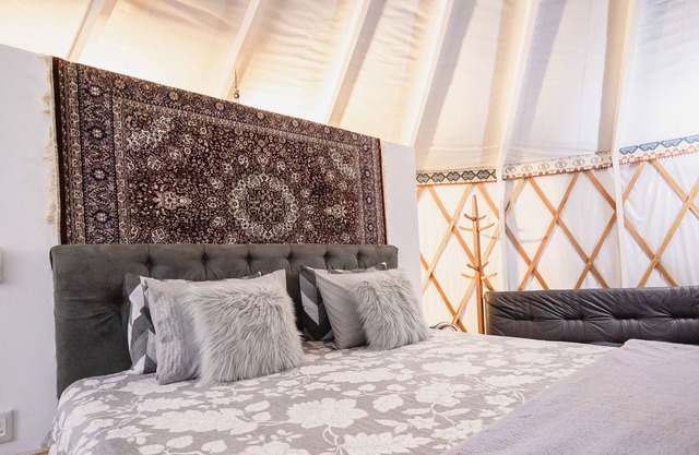 YURT, unusual housing, from the Mongolian empire, with a lot of luxury and comfort, stud farms.