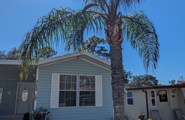 Zephyrhills Florida close to Tampa, Zoo, Hard Rock, and Bush Gardens.nPool.