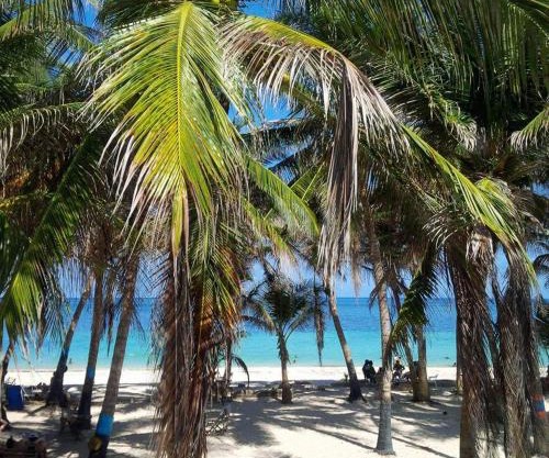 Zippy´s Sea View Apartments