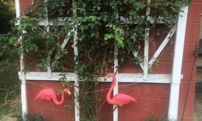 Groveport Apartment | Ä Hideaway