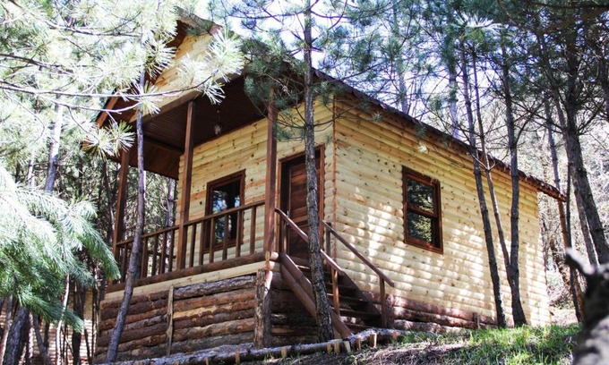 Mengen Ski Chalet | Çam Pınarı Doğa Evleri