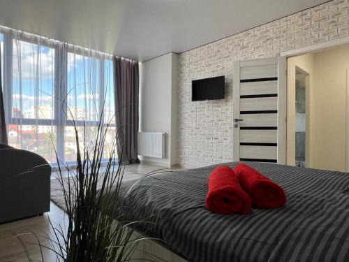 Ternopil Apartment | Апартаменти Замонастирська