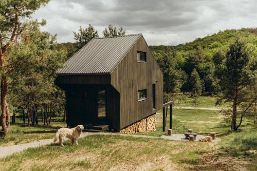 Kiev Oblast House | Будиночки для відпочинку ТРОХИ ДАЛІ