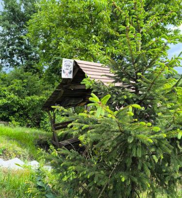 Kiev Oblast Other | Кемпінг Під Горіхом