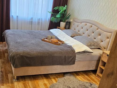 Krivoy Rog Apartment | Комфортні апартаменти на Гетьманській 74, Святогеоргієвській 15