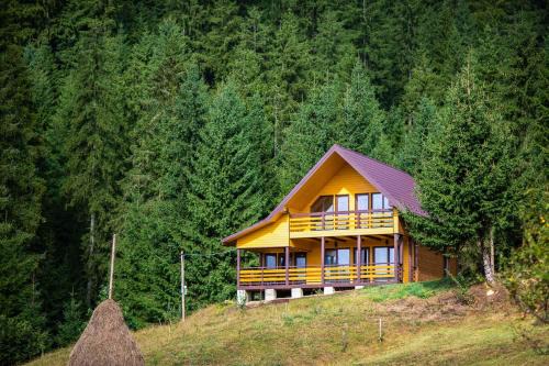 Verkhovyna Apartment | Котедж Forest house