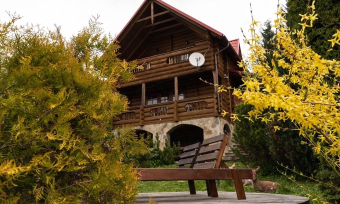 Vorokhta House | Медовий