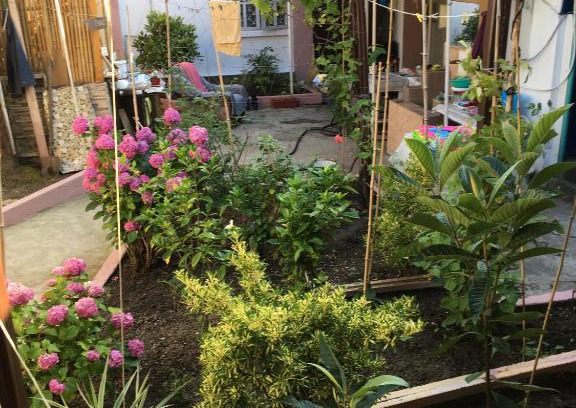 Tsandripsh House | Мини-Отель Валентина