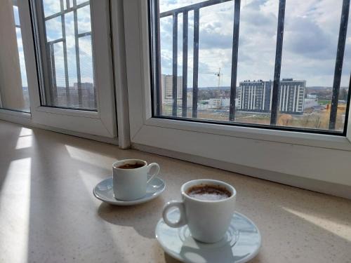 Lutsk Apartment | Набережна Двокімнатна