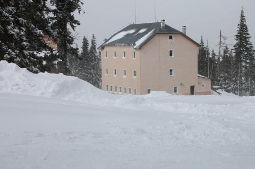 Dragobrat Hotel | Оаза