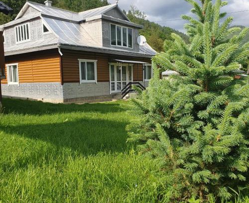 Snidavka House | Садиба Грицюка