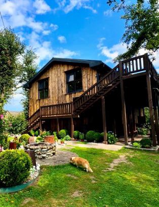 Kosuv Stary House | Старий яблуневий сад