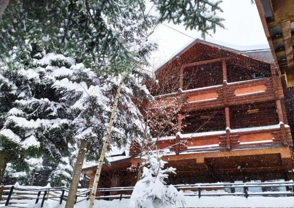 Myhove Cabin | Шаленарозі