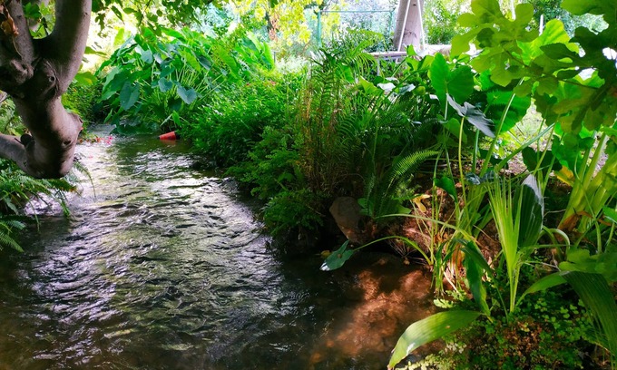 HaGoshrim House | דירה חמודה ואינטימית