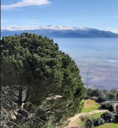 Misgav Am Cabin | המון חרמון - סוויטה בגליל העליון