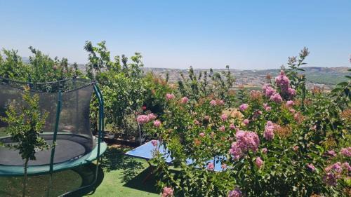 Buq'ata Apartment | נוף הכפר - 6 חדרי אירוח לזוגות ומשפחות עם ג'קוזי משותף