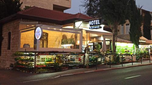 Haifa Apartment | פנינה בגליל 1929