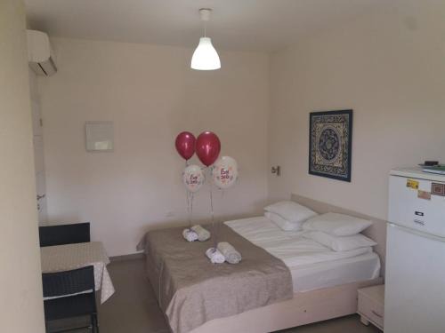 Qatsrin House | צימר חספין