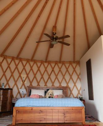 Gita Other | צלילי השקט- היורט מול הנוף