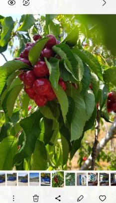 Majdal al-Shams Apartment | קסם החרמון