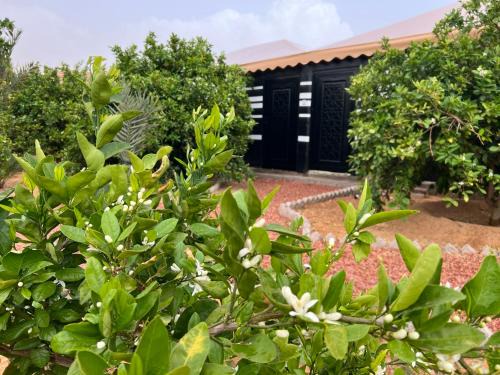 Western Province Apartment | مزرعةبرتقالOrange farm