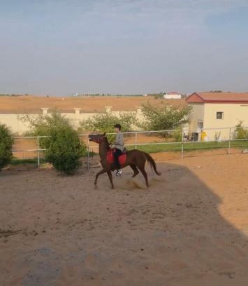 Sharjah Other | مزرعة العائلة