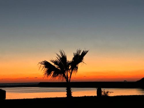 Hioki Other | グッドラックスタービーチ