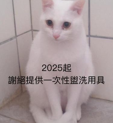 Xincheng House | 自然海naturalhigh