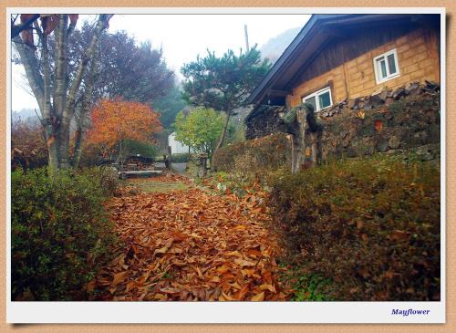 Eumseong House | 숲속 작은 황토집