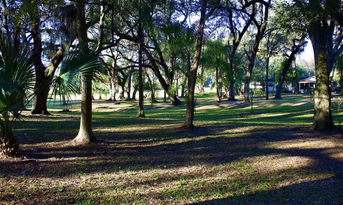 Zephyrhills West House | 10 % DISCOUNT Cheerful home on 3.5 acres with plenty parking/long term rental