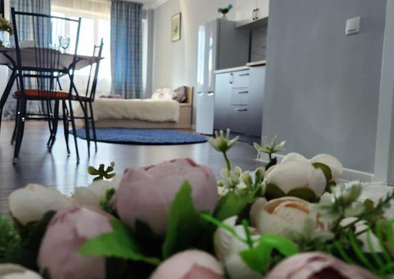 Almaty Apartment | 2 -ух комнатная квартира в Sholpan city