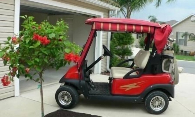 Duval House | 2/2 Courtyard Villa with Private Backyard and Golf Cart!