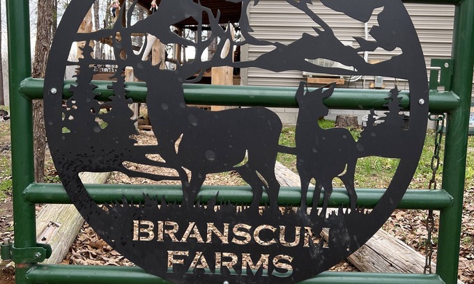 Newnata Cabin | 2 bedroom 1 bath cabin with privacy, 1 mile from main highway