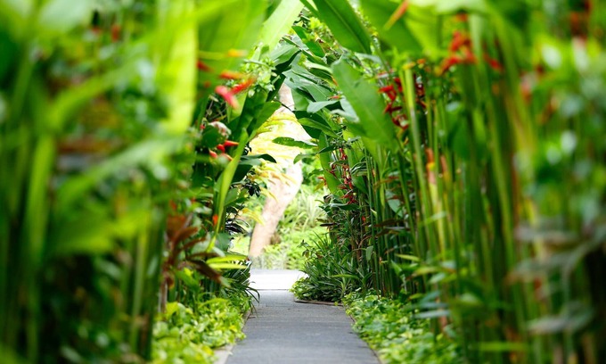 Nakula Villa | 2 BR Pivate Pool Villa, 5 mnts walking to the beach and Seminyak shopping area