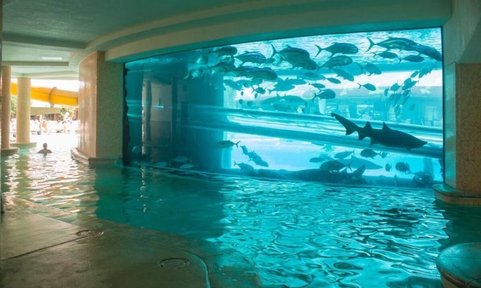 Downtown Las Vegas Hotel | 2 x Carson Tower - Deluxe Doubles Room at Golden Nugget Las Vegas