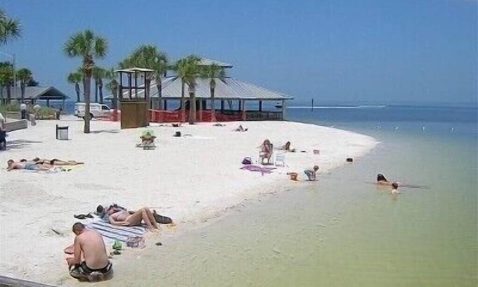 Bayonet Point House | 20% discount by Vrbo RELAXING VACATION PARADISE MINUTES FROM THE BEACH