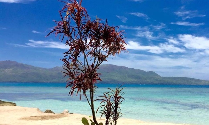 Las Galeras Bed & Breakfast | 21 Palms