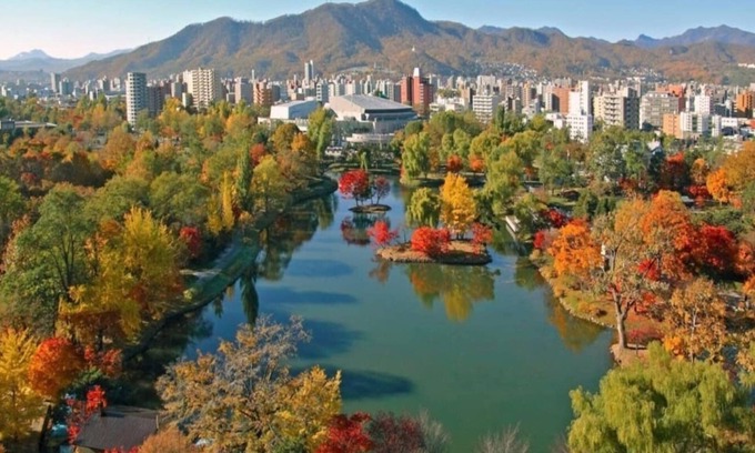 Nakajimakoen Apartment | 2A203 Park view from Tawaman 20F Enjoy the specta - Amstower Nakajima 2003 / Sapporo Hokkaidō