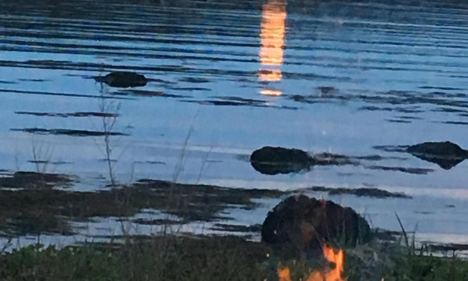 Steuben Cottage | 2bd, Pigeon Hill Bay, fire pit, star lit sky, AC in loft, quiet, Fall rate drop