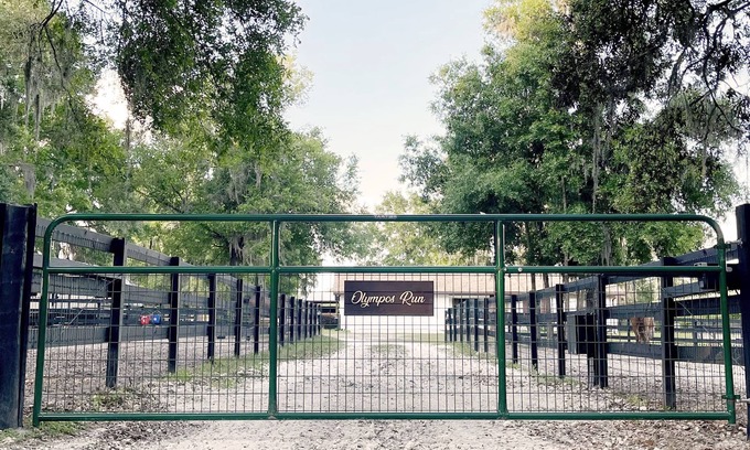 Fellowship Other | 3-bedroom Farmhouse in Ocala with WiFi, AC, Fire Pit on Treed, Grassy Acreage