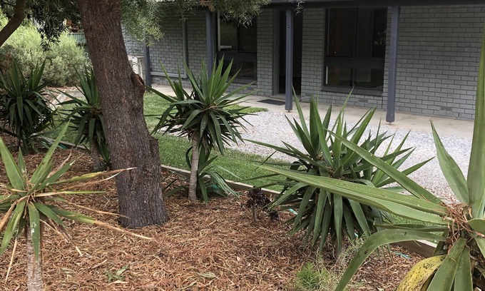 Aldinga Beach House | 3 Br house - Walk to Beach, Scrub, Parks and Cafe. Short drive to Wineries.