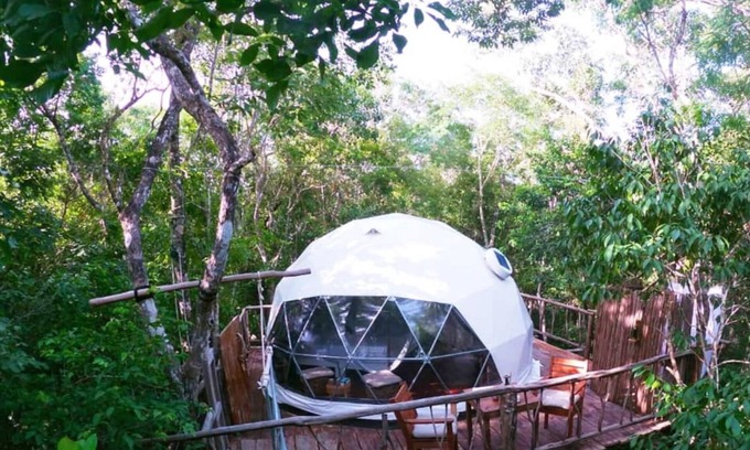 Tulum Cabin | 3 min walk to cenotes - Jungle Treehouse Experience -jungle glamping adventure