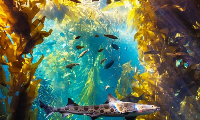 Salinas House | 3925 Rays - Enjoy Sunshine, Hiking, Golf, Available for Extended Stays!