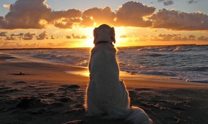 Saint Helena Island House | 4 Bed/2 bath- sleeps 9, club cards avail, Golf cart, pets ok, neighborhood pool