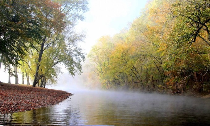 Normandy House | 4 BR Ranch Stay on the Duck River with Ponds HS#3